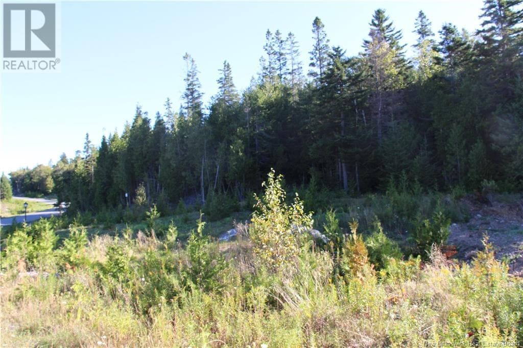 00 Drury Cove Road, photo 3