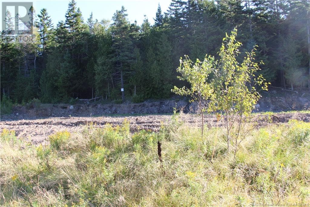 00 Drury Cove Road, photo 4