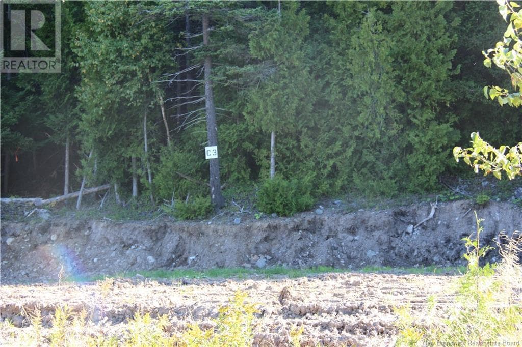 00 Drury Cove Road, photo 5