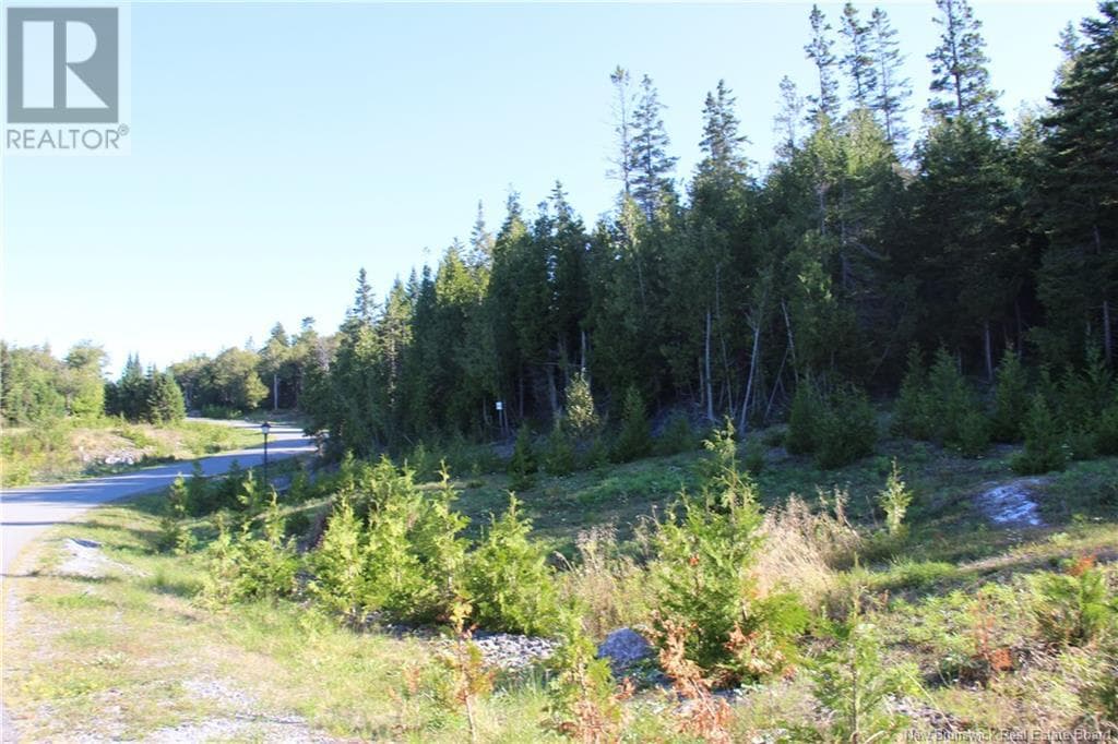 00 Drury Cove Road, photo 8
