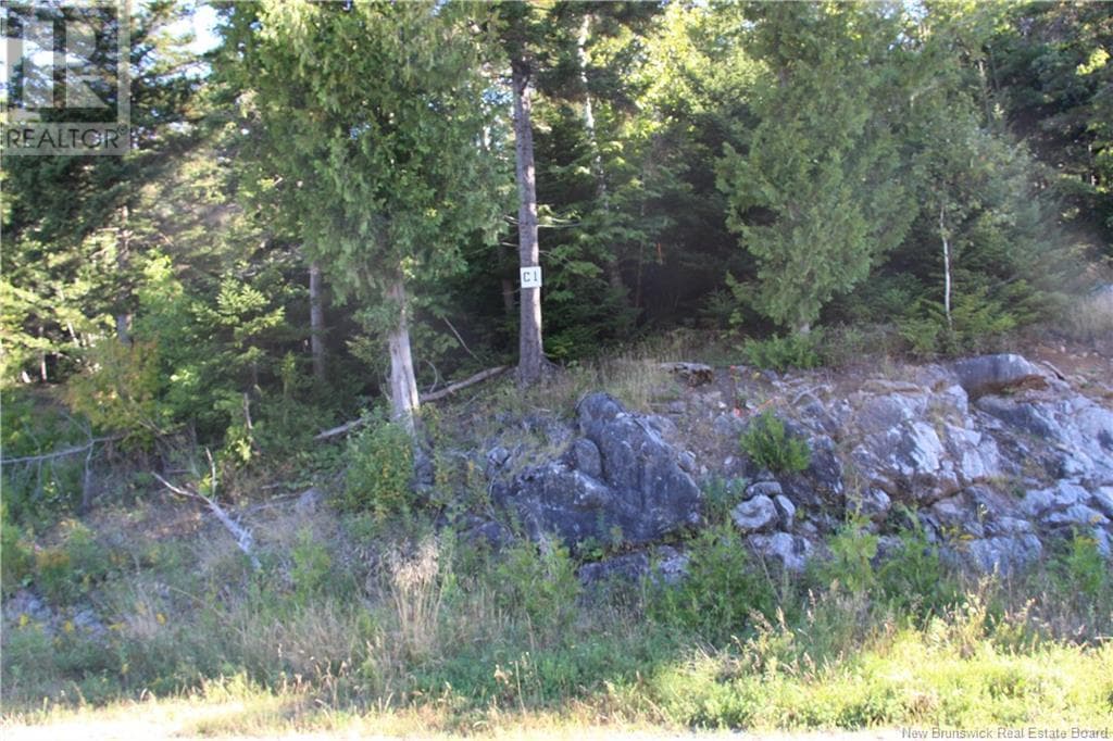 00 Drury Cove Road, photo 3