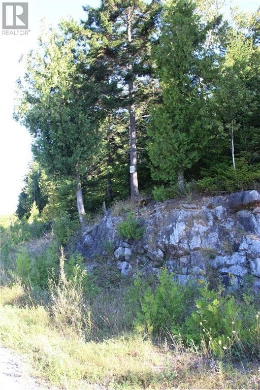 00 Drury Cove Road, photo 4
