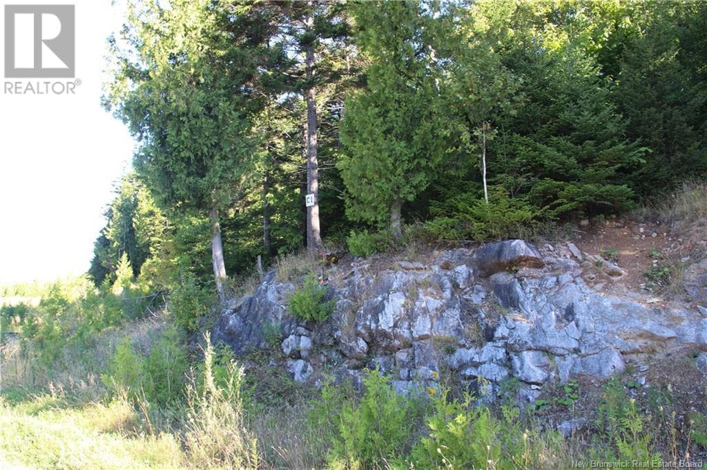 00 Drury Cove Road, photo 5