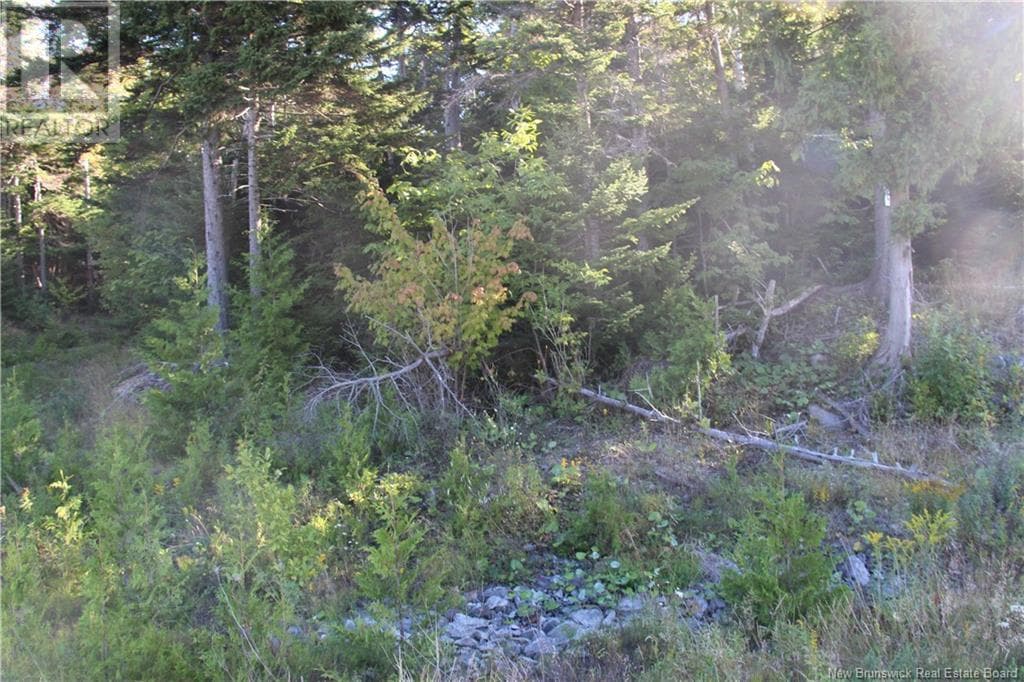 00 Drury Cove Road, photo 7