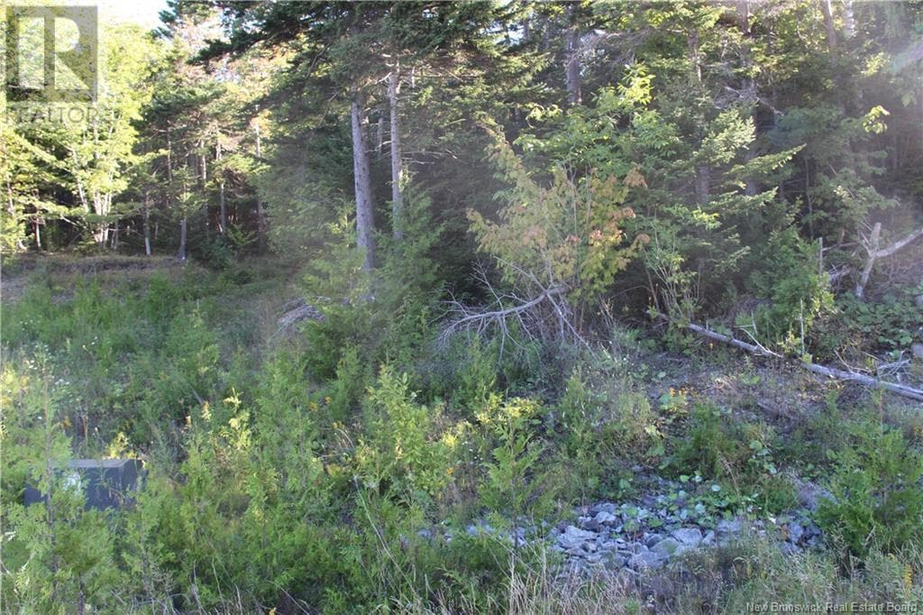 00 Drury Cove Road, photo 8