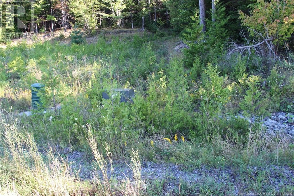 00 Drury Cove Road, photo 9