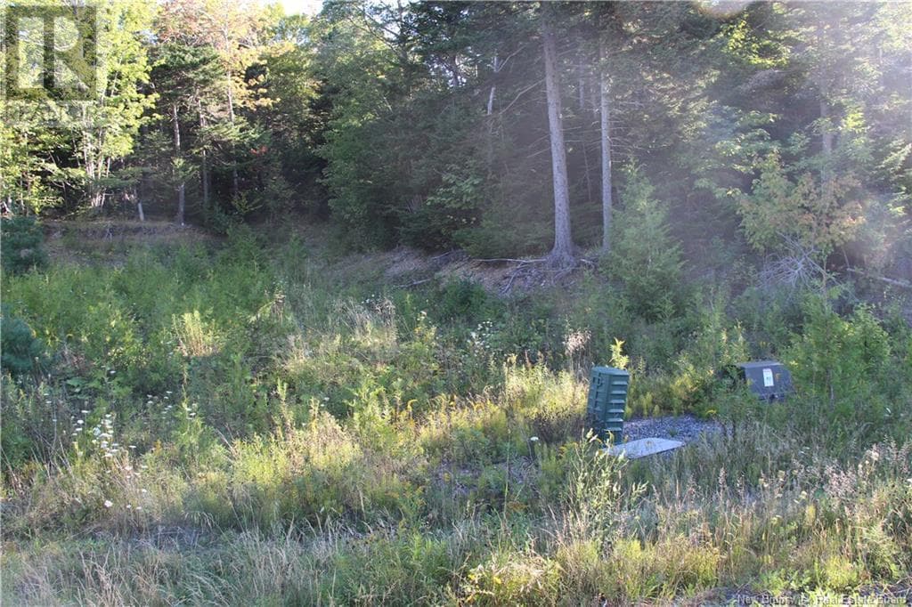 00 Drury Cove Road, photo 10