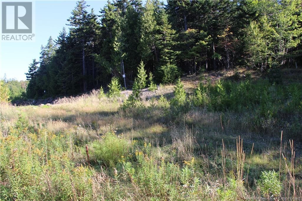 00 Drury Cove Road