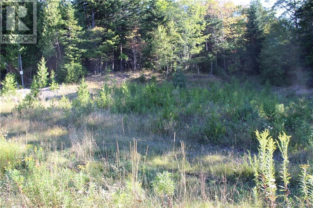 00 Drury Cove Road, photo 3