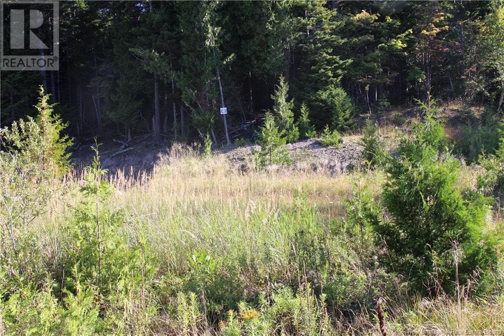 00 Drury Cove Road, photo 4