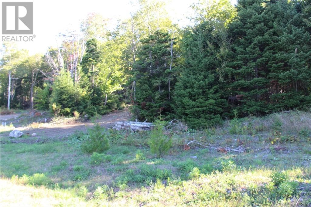 00 Shoreline Drive, photo 3
