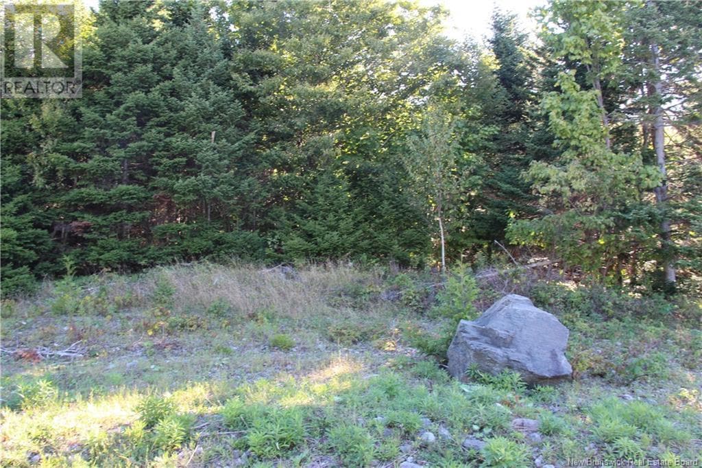 00 Shoreline Drive, photo 4