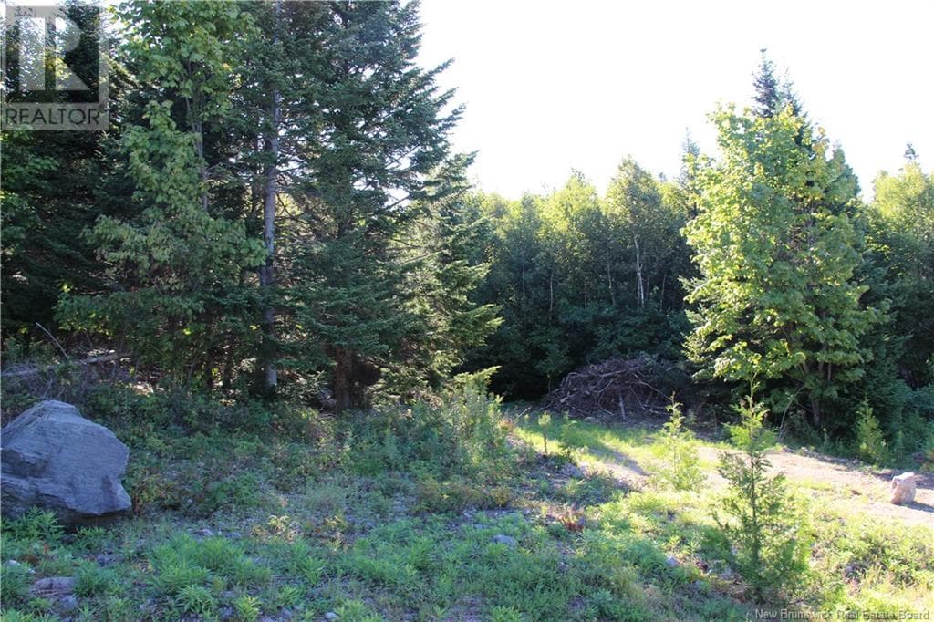 00 Shoreline Drive, photo 5