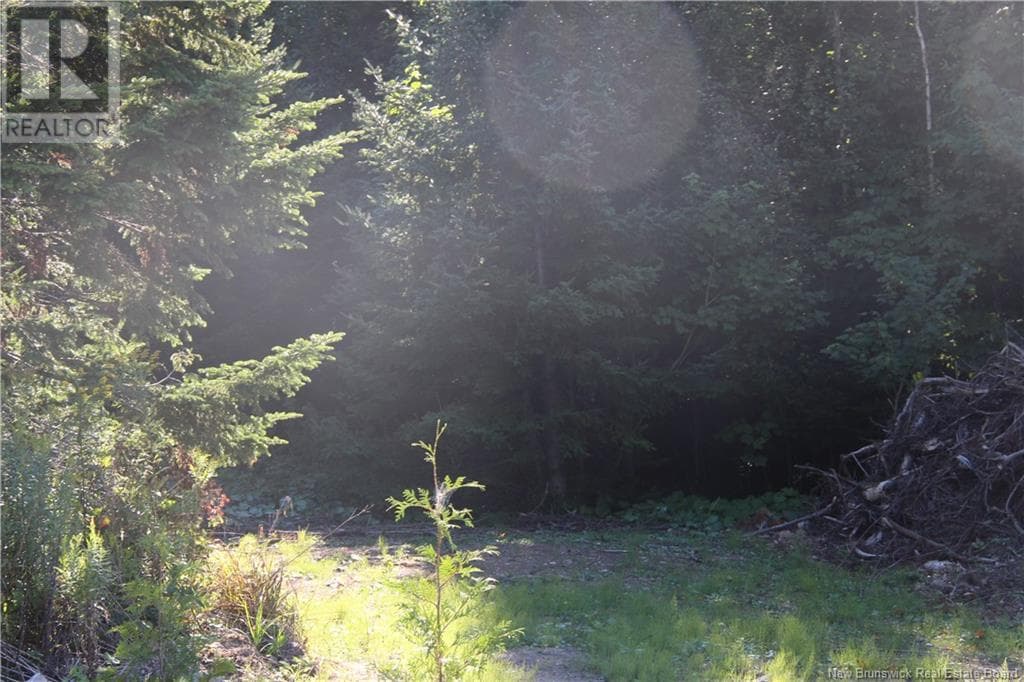 00 Shoreline Drive, photo 6