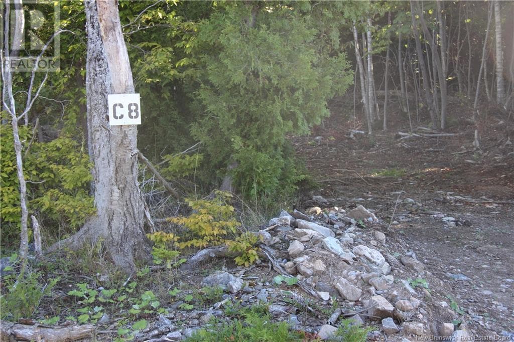 00 Shoreline Drive