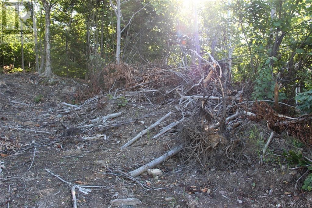 00 Shoreline Drive, photo 11