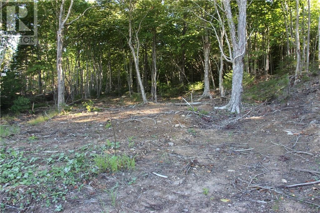 00 Shoreline Drive, photo 12