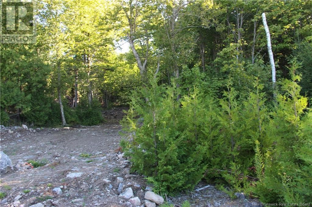 00 Shoreline Drive, photo 4