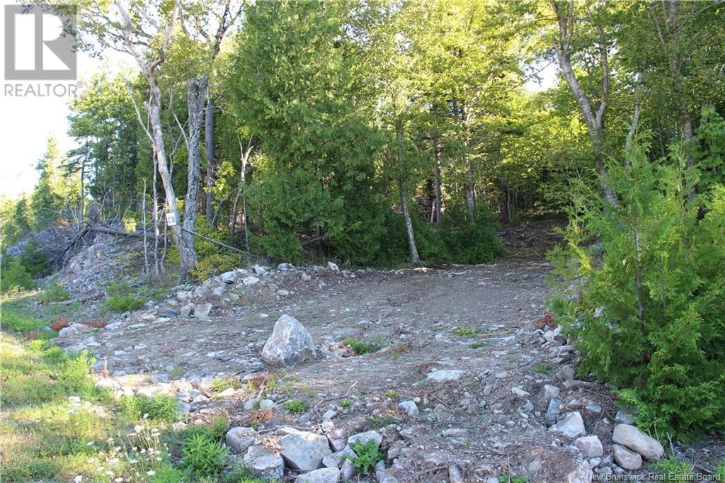 00 Shoreline Drive, photo 5