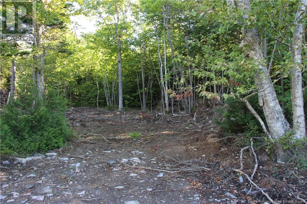 00 Shoreline Drive, photo 6