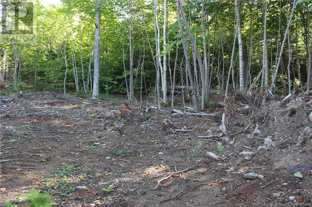 00 Shoreline Drive, photo 7