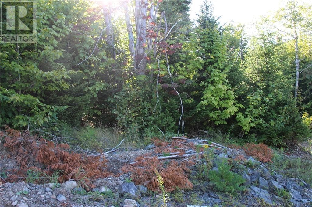 00 Shoreline Drive, photo 9