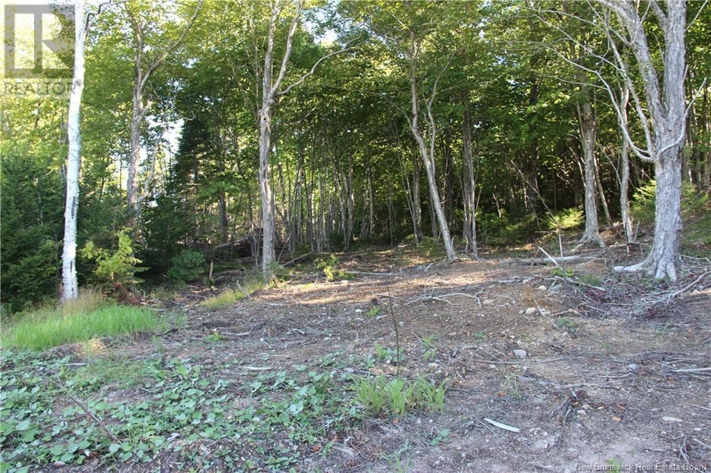00 Shoreline Drive, photo 10