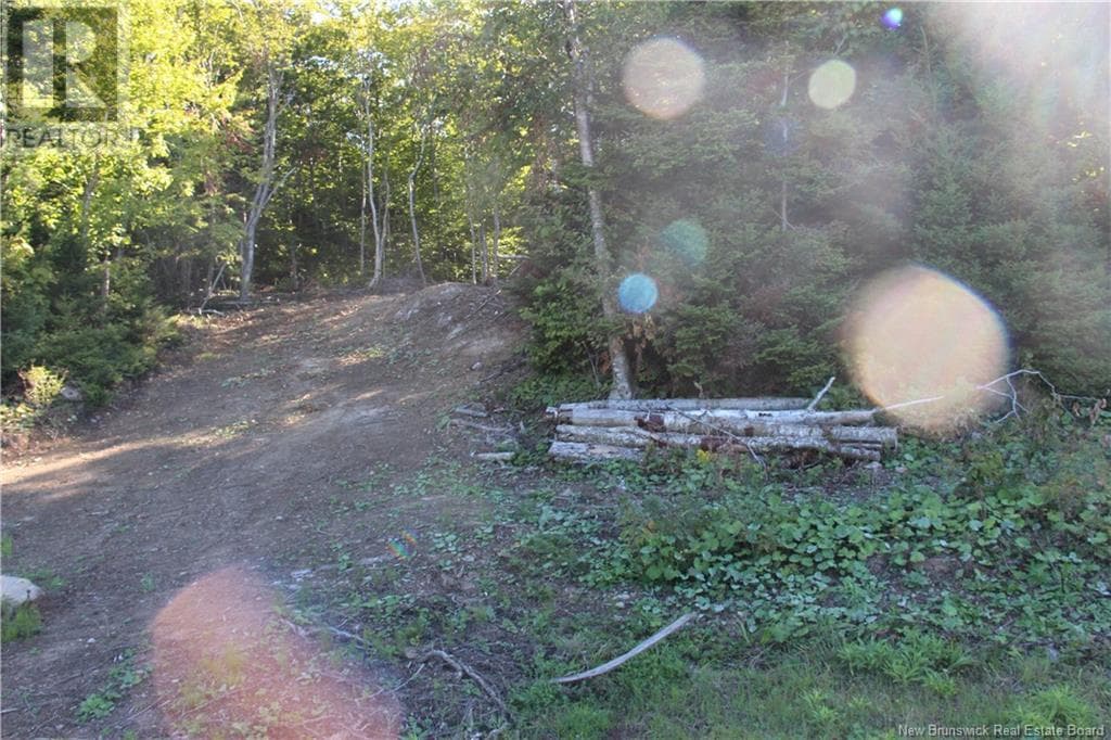 00 Shoreline Drive, photo 5