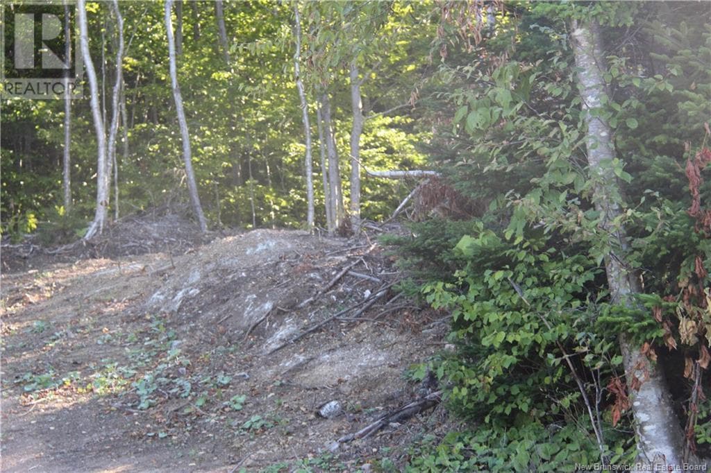 00 Shoreline Drive, photo 8