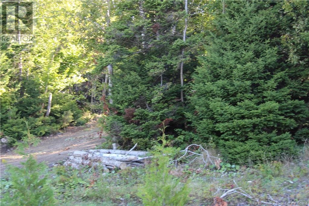 00 Shoreline Drive, photo 9