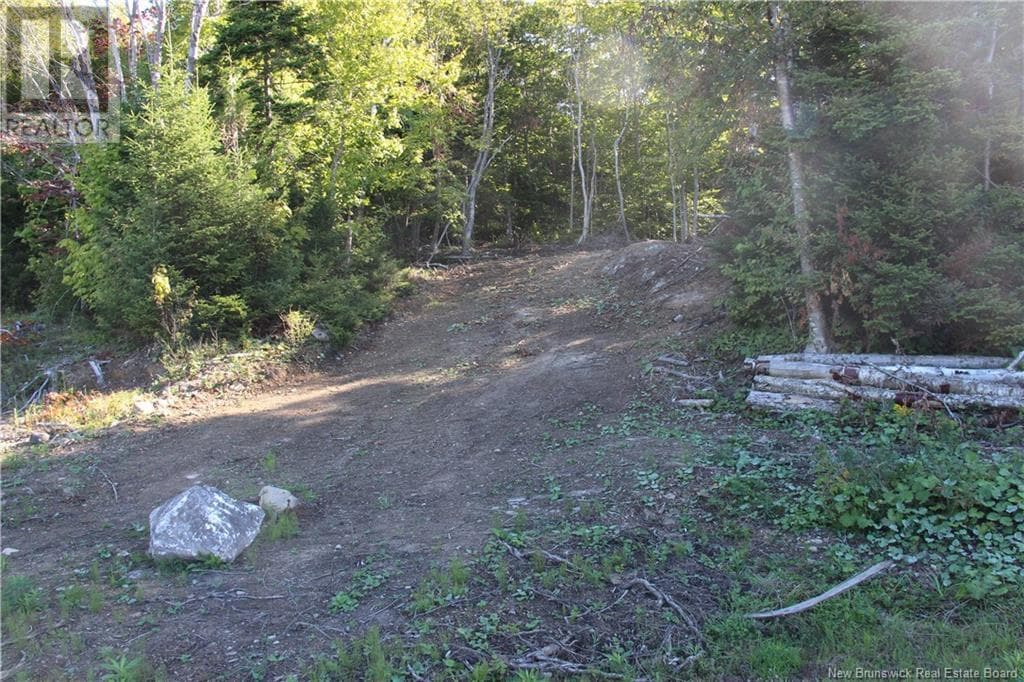 00 Shoreline Drive, photo 3