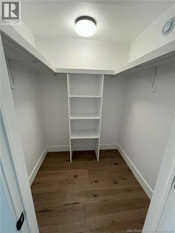 28 Hamel Drive, photo 17