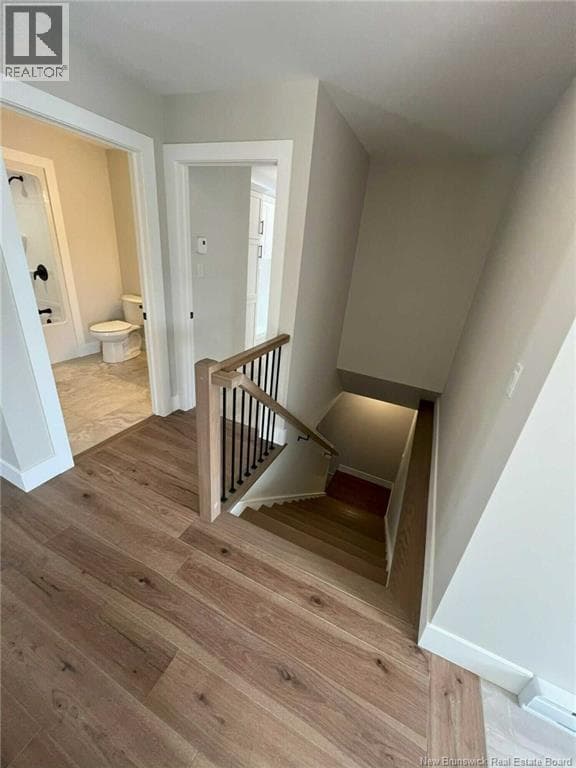 28 Hamel Drive, photo 5