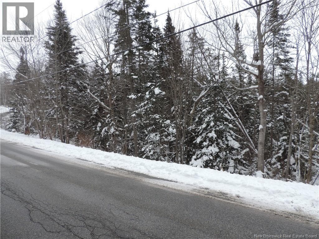 73 Highland, photo 3