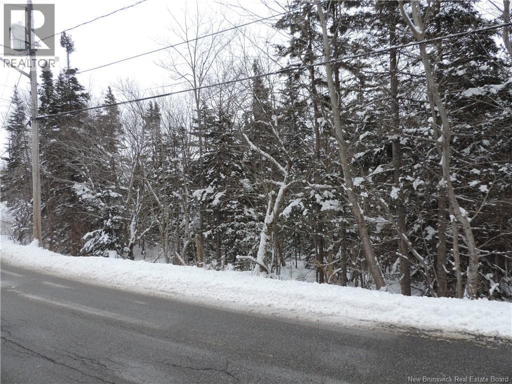 73 Highland, photo 4
