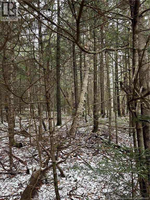 Lot 26-3 Backland Road