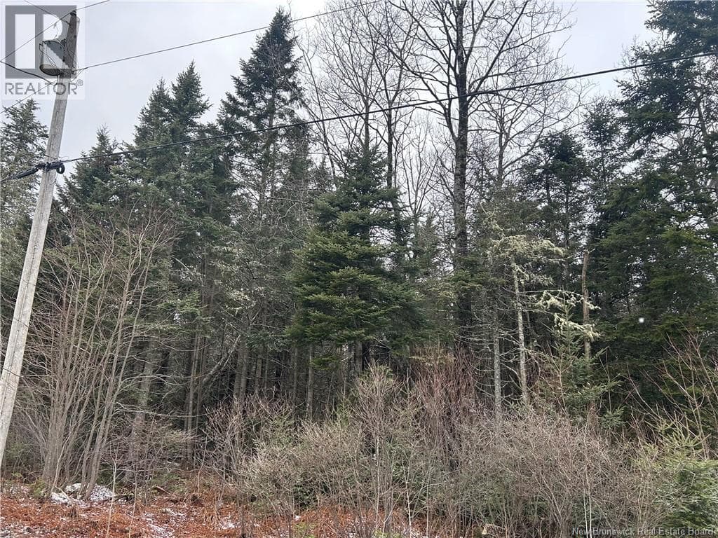 Lot 26-4 Backland