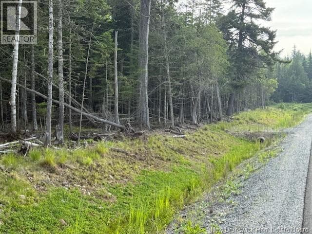33 Alpenglow Drive, photo 6