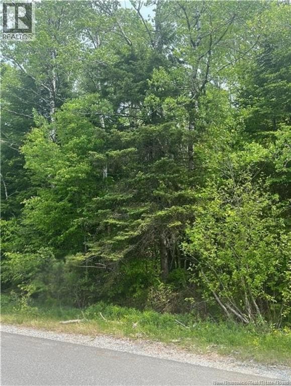 444 Bradley Lake Road