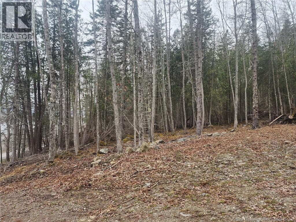 LOT A-4 Pickwauket, photo 23