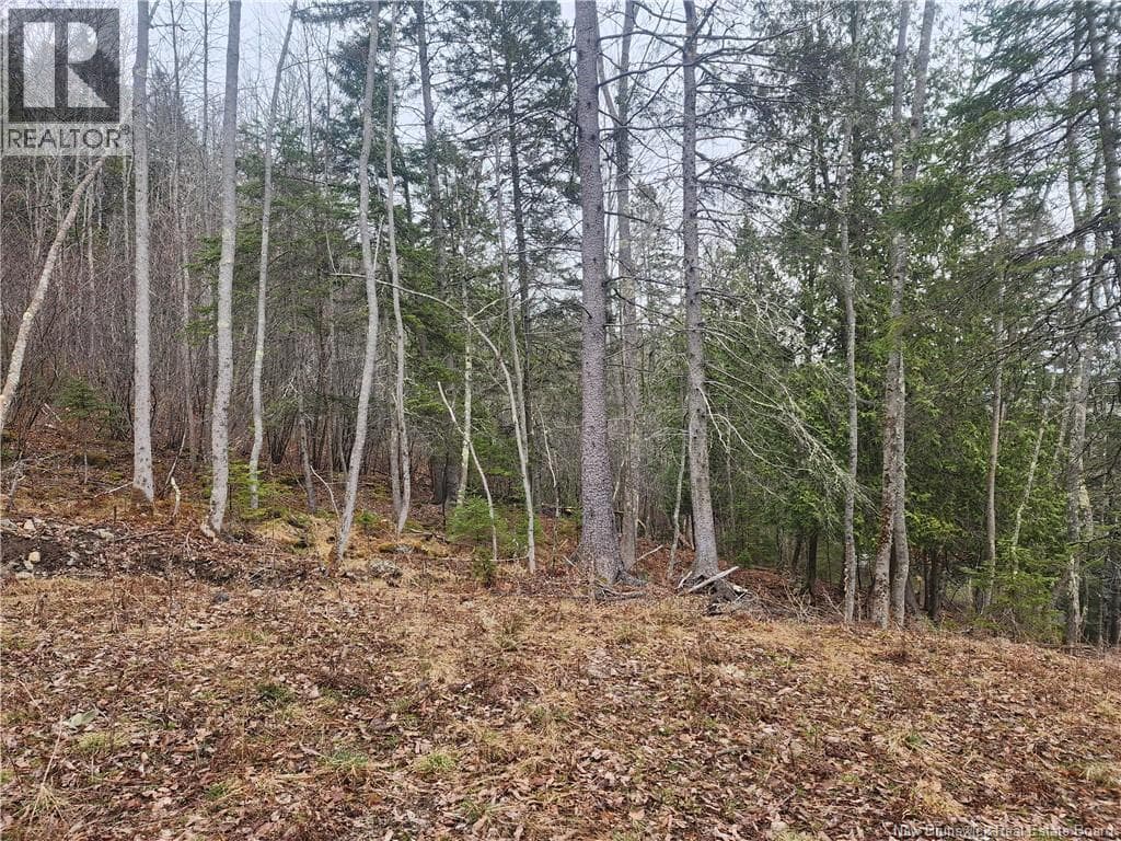 LOT A-4 Pickwauket, photo 27