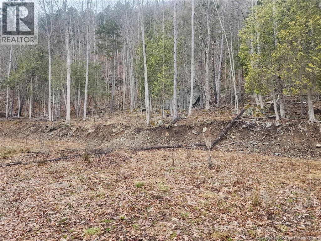 LOT A-4 Pickwauket, photo 25