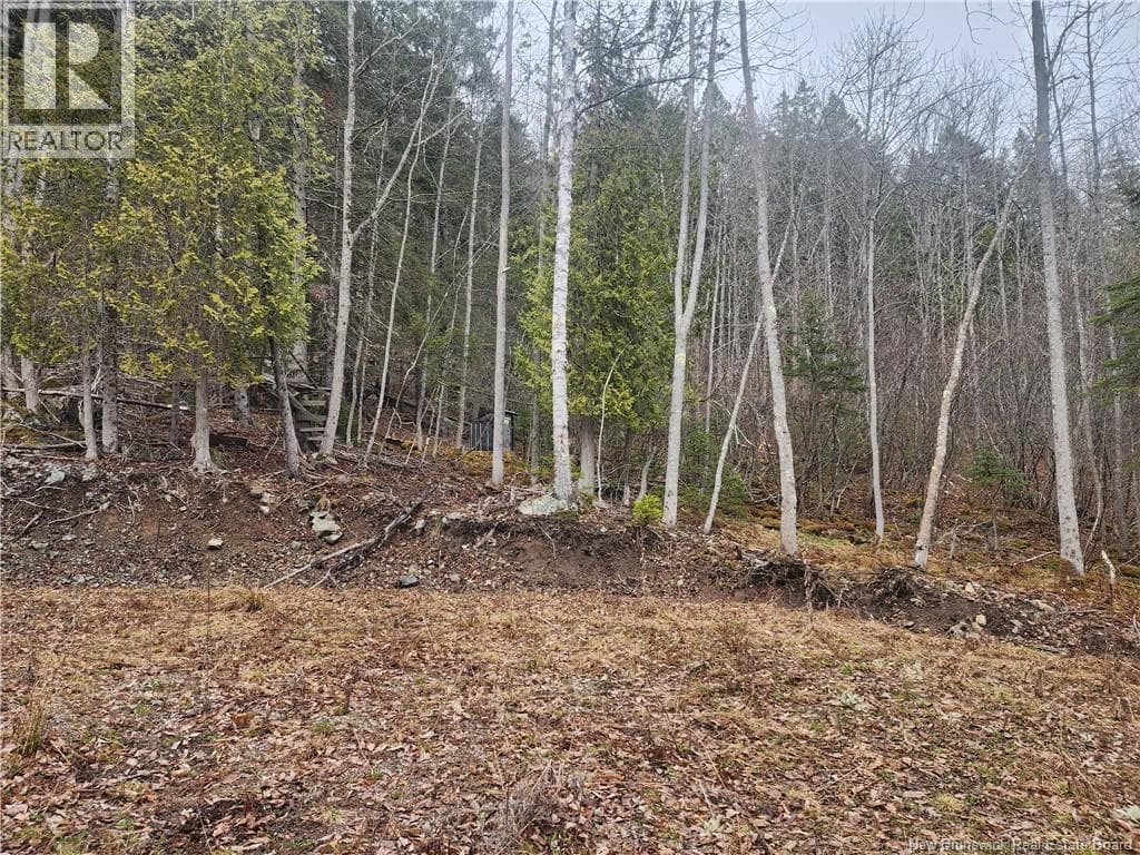 LOT A-4 Pickwauket, photo 26