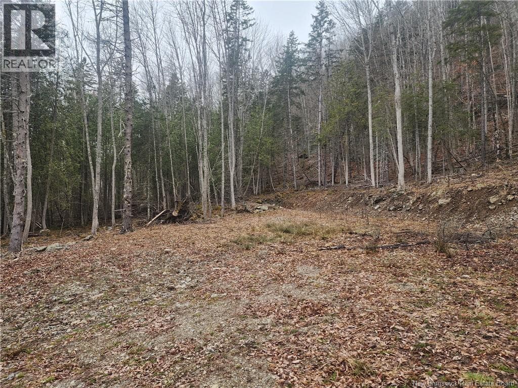 LOT A-4 Pickwauket, photo 24
