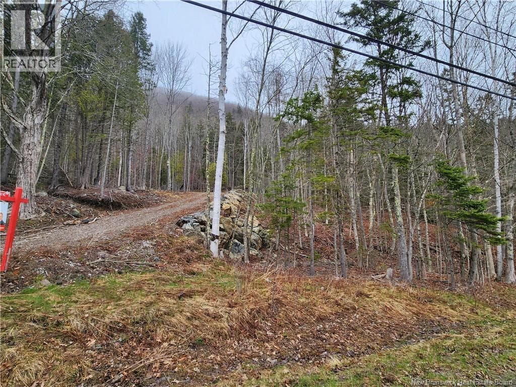 LOT A-4 Pickwauket, photo 17