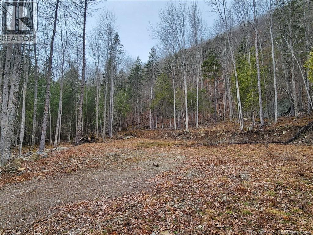 LOT A-4 Pickwauket, photo 28
