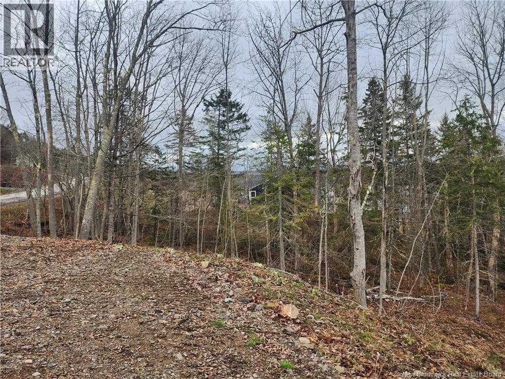 LOT A-1 Pickwauket, photo 18