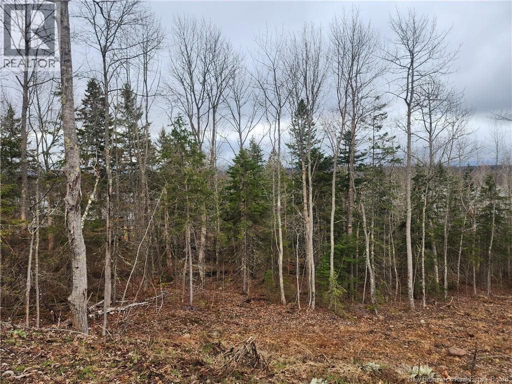 LOT A-1 Pickwauket, photo 19