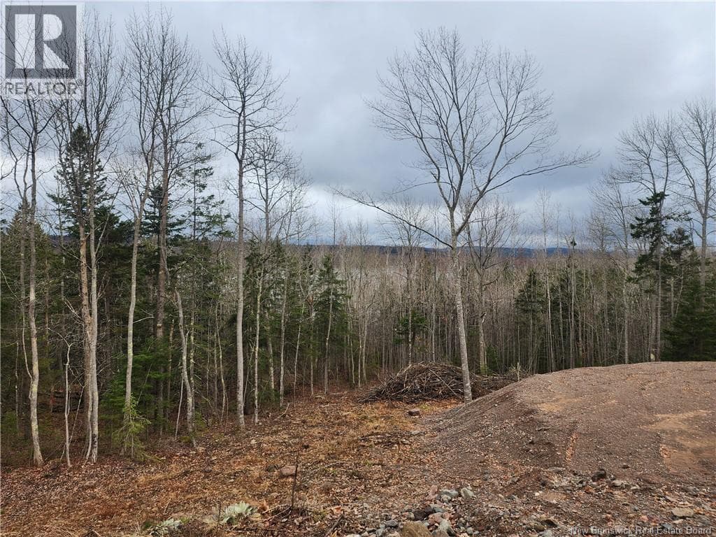 LOT A-1 Pickwauket, photo 20