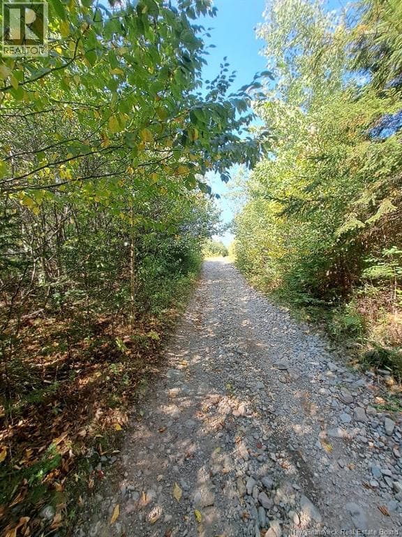 0 Mosher Hill Road, photo 6